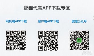 就在那猫代驾 全场景专业代驾服务专家